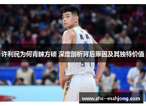 许利民为何青睐方硕 深度剖析背后原因及其独特价值 许利民为何青睐方硕 深度剖析背后原因及其独特价值