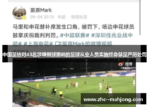 中国足协对43名涉嫌假球黑哨的足球从业人员实施终身禁足严厉处罚